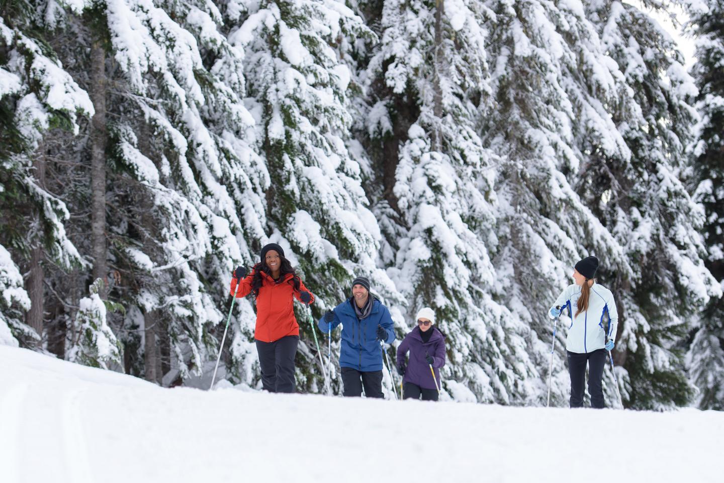 group of people nordic skiing