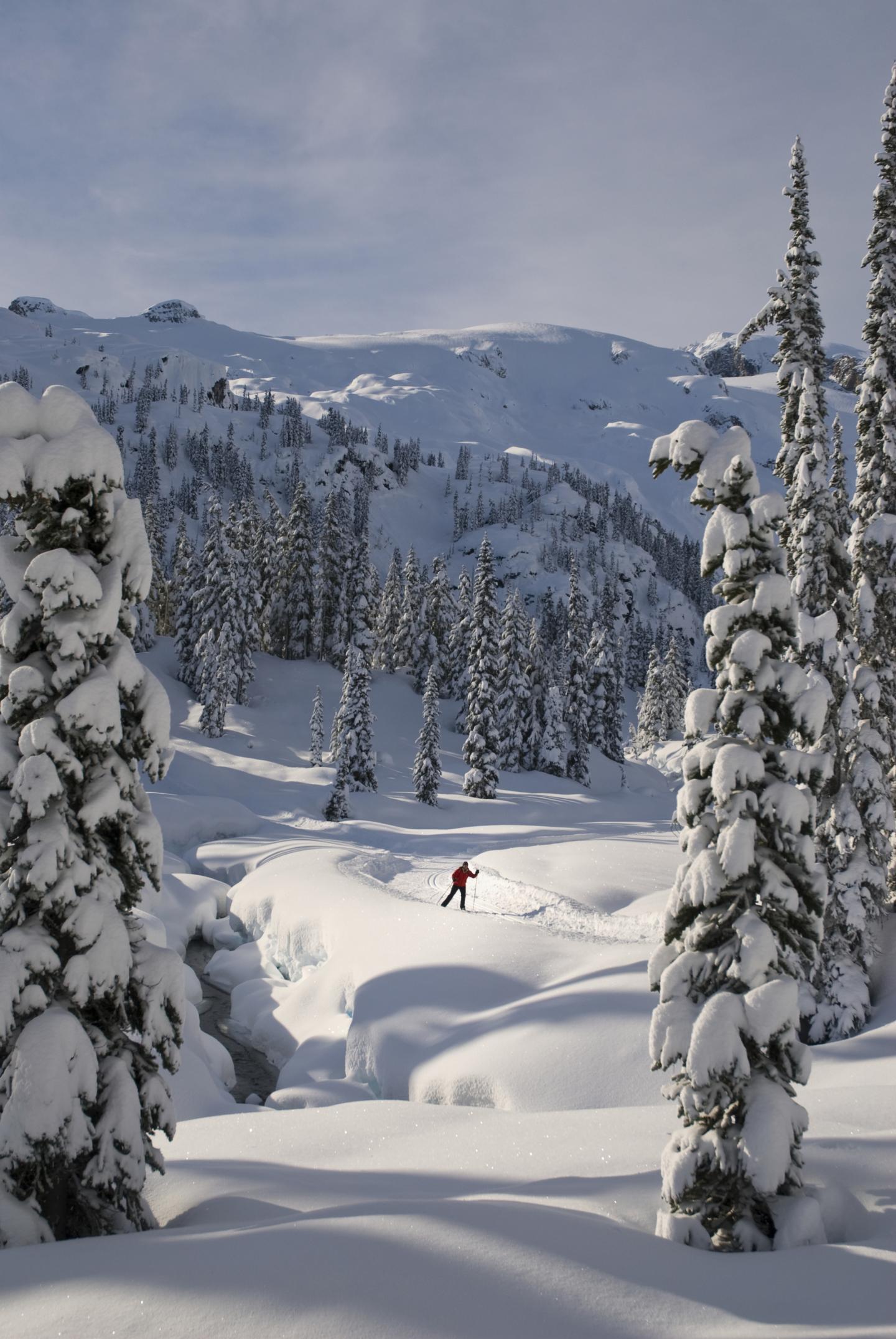 Solo skier and mountains