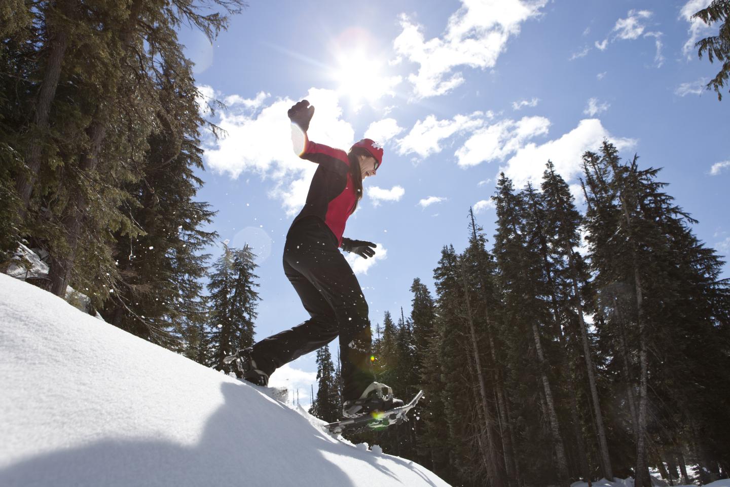 Snowshoer jumping