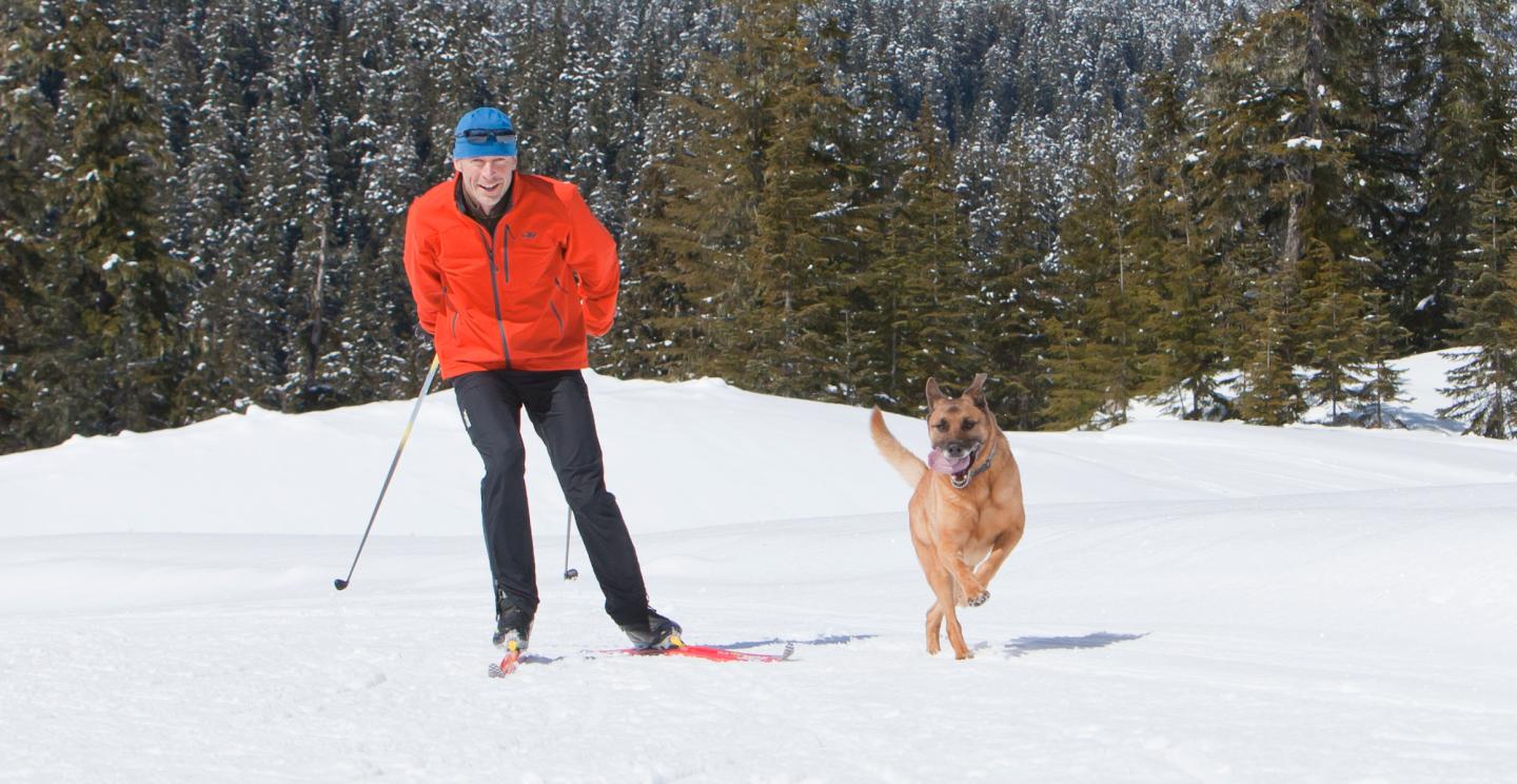 dog and skiier
