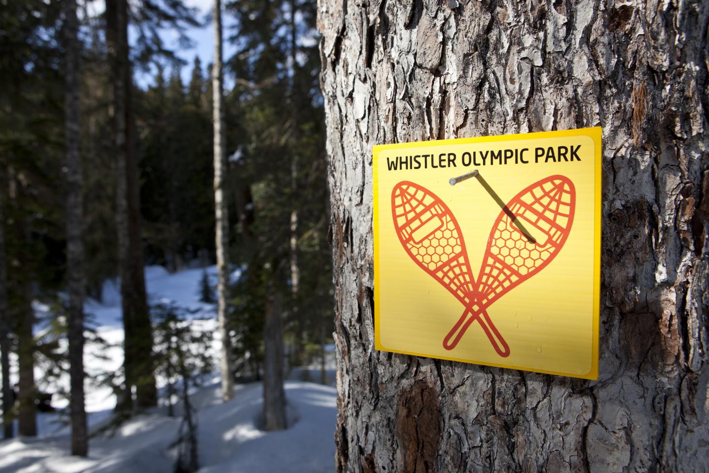 Snowshoe sign tacked to tree