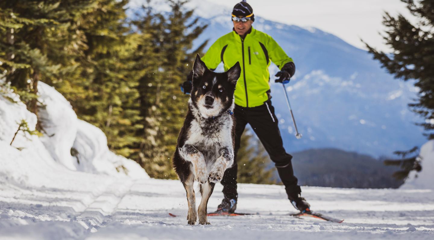 man skiing with dog in mountains