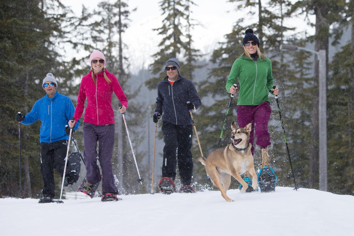 family snowshoeing with dog in mountains