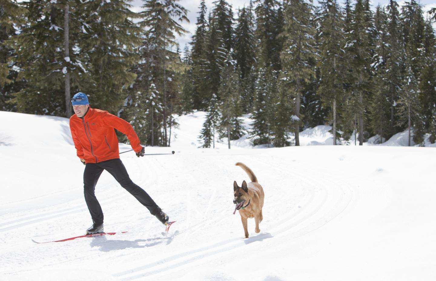 man skiing with dog in mountains