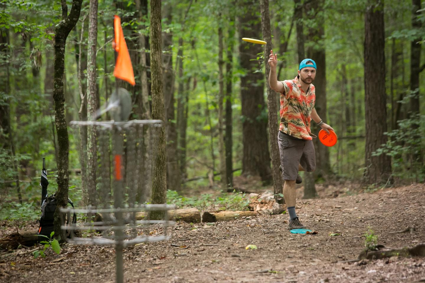 disc golf image