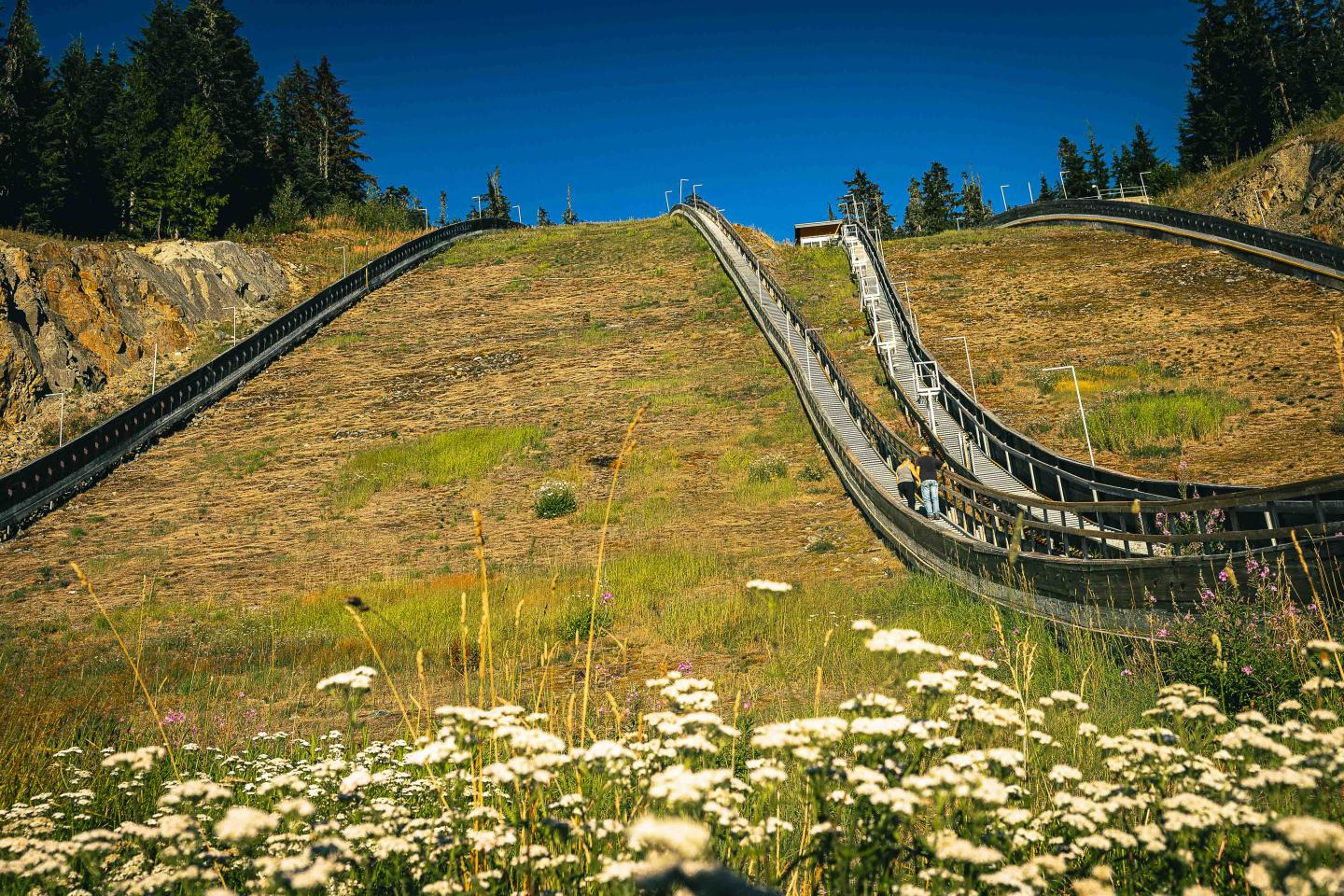 Whistler Olympic Park Ski Jump Hike