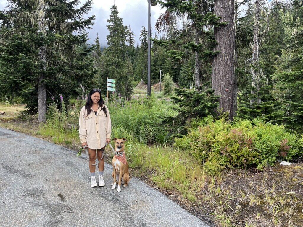 Whistler Olympic Park Dog on a Leash Summer