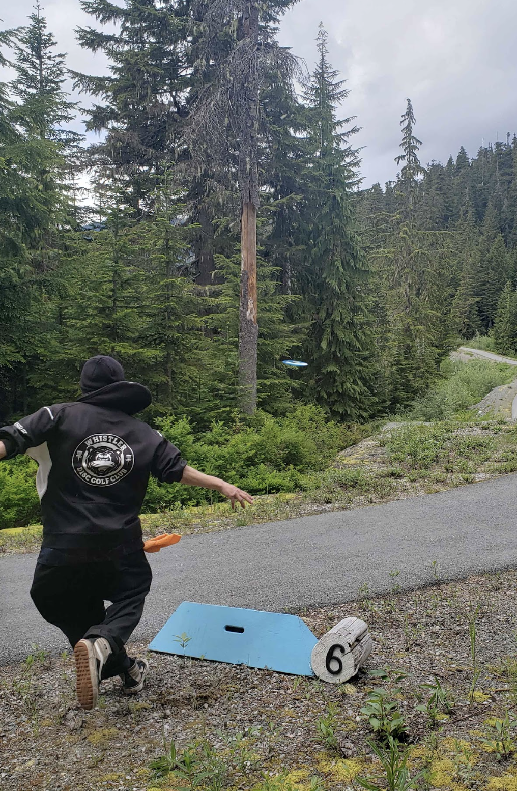 Man thowing frisby