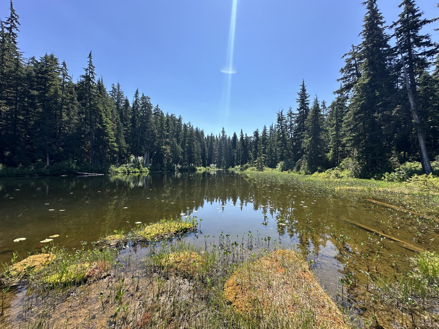 Lunch Lake Whistler Olympic Park Summer 