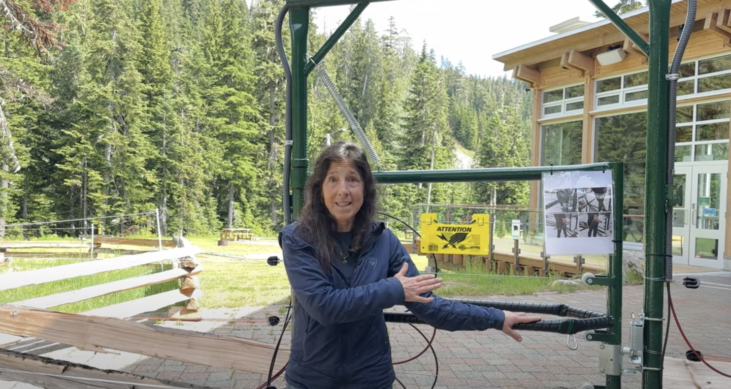 Bear Fence Video