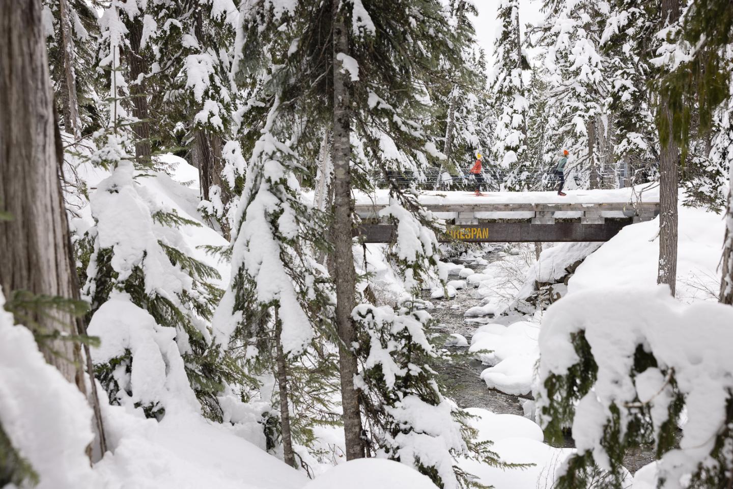 Preferred Loops Cross Country Skiing at Whistler Olympic Park