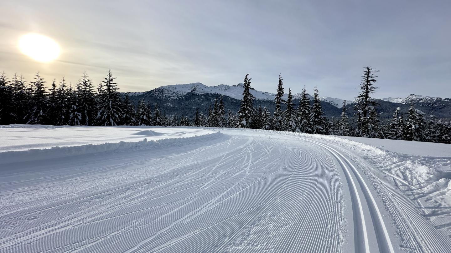 Top of the World Whistler Olympic Park No Skiers