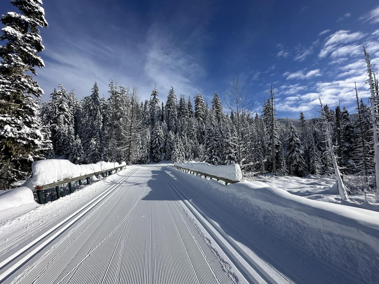 Whistler Olympic Park Madeley Creek Loop - Snowy cross country ski lined with trees under a clear blue sky.