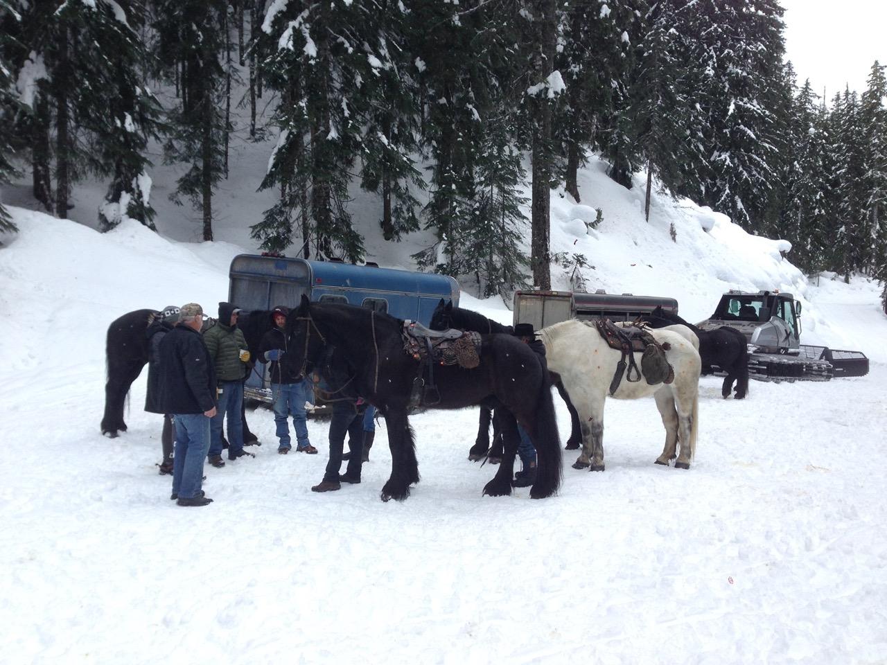 Horses and people in snowy forest setting.