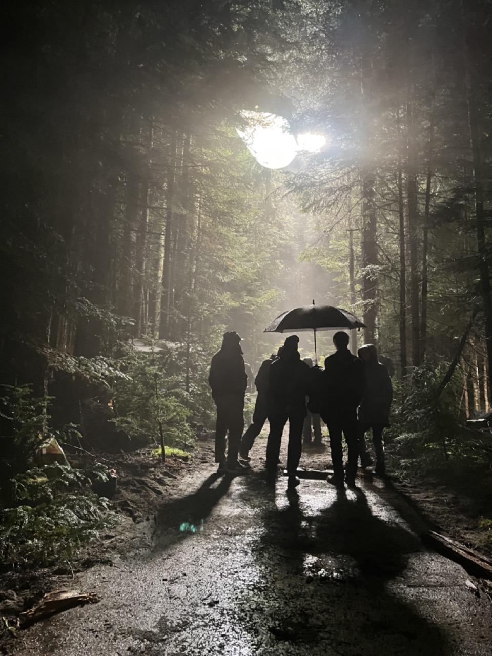 Silhouetted group in a misty forest with sunlight filtering through trees.