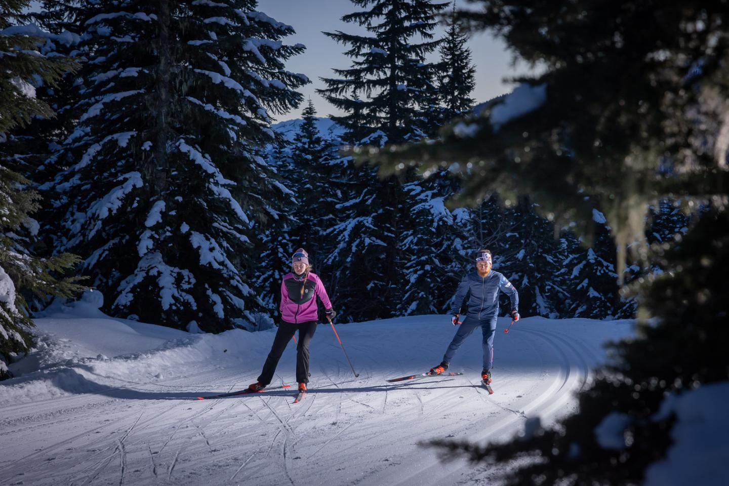 Two people cross-country skiing on a snowy path, surrounded by tall pine trees.