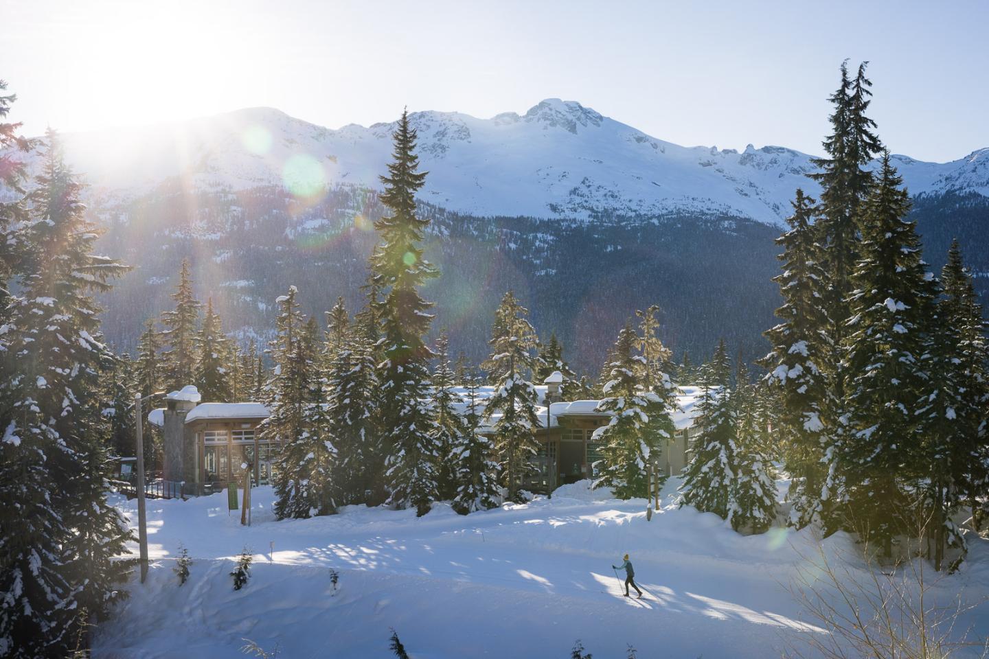 Snowy landscape with pine trees, distant mountains, and sunlight filtering through.