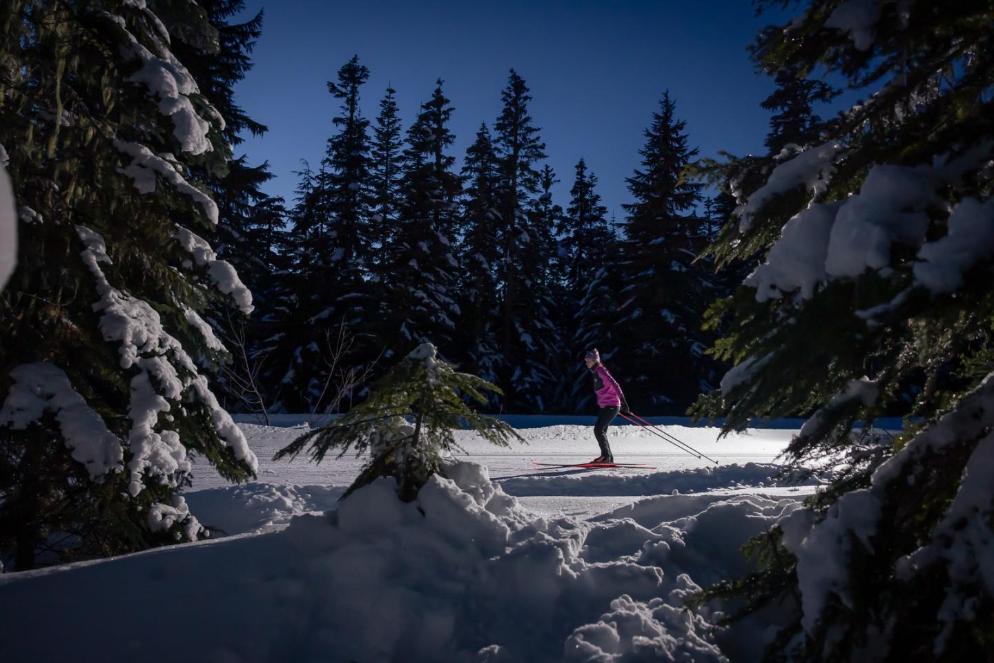 Cross-country skier in a snowy forest at night.