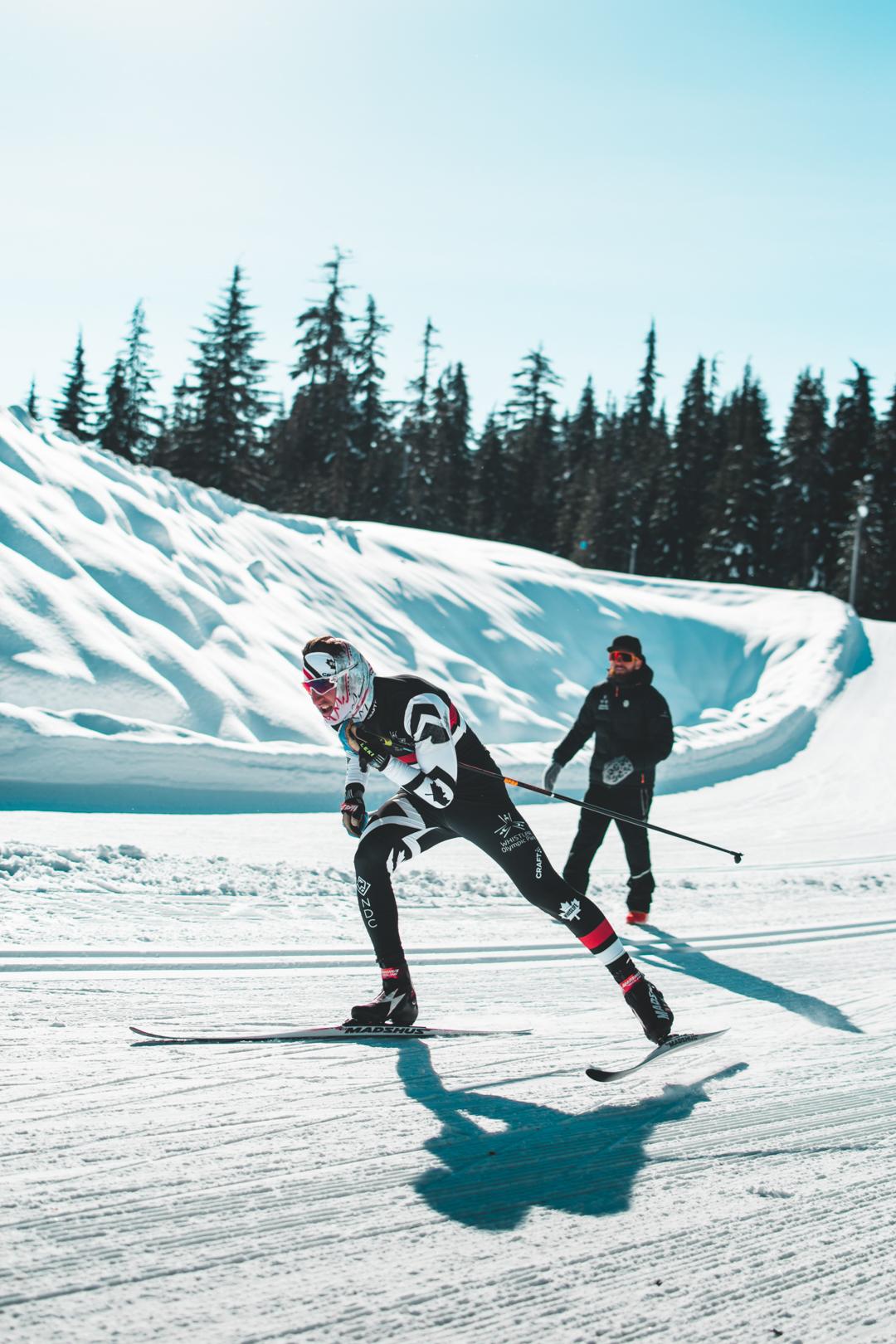 Cross-country skiers gliding on snow with forest backdrop.