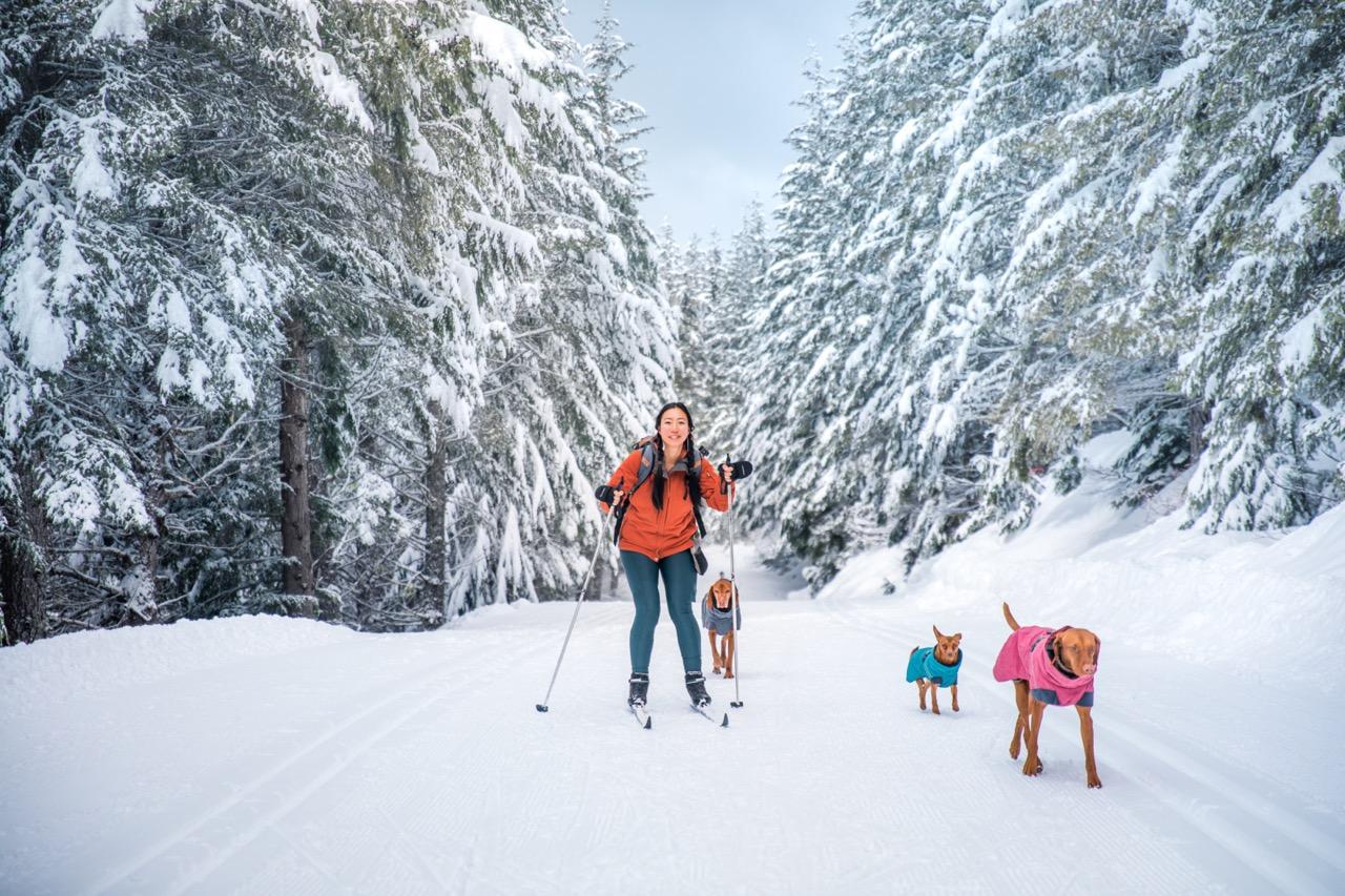 Person skiing with two dogs on a snowy forest trail.