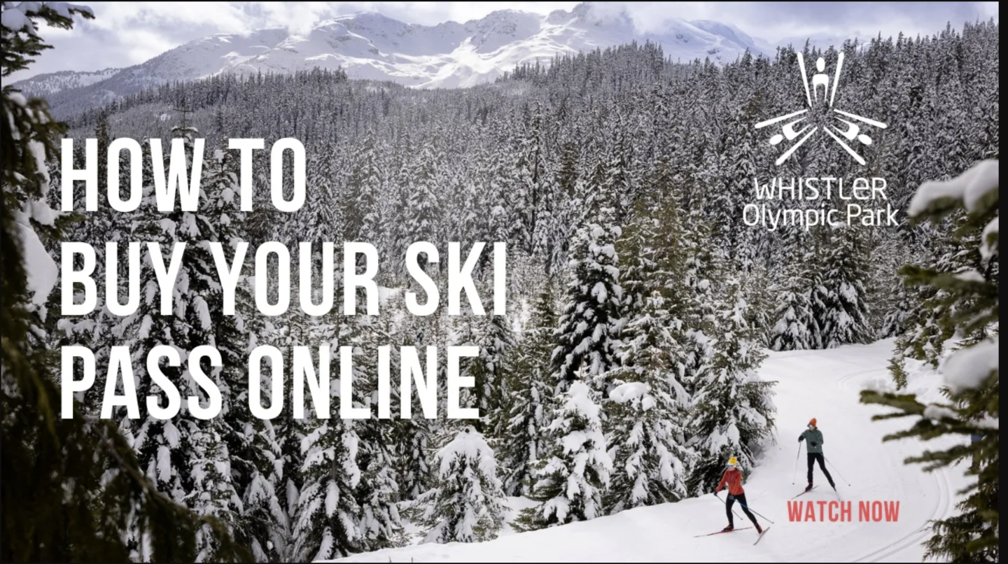 Two people skiing on a snowy mountain path, surrounded by dense pine trees.