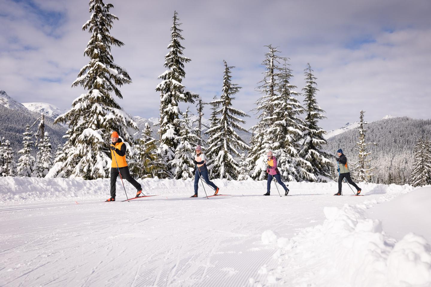 Four people cross-country skiing on a snowy trail lined with pine trees.