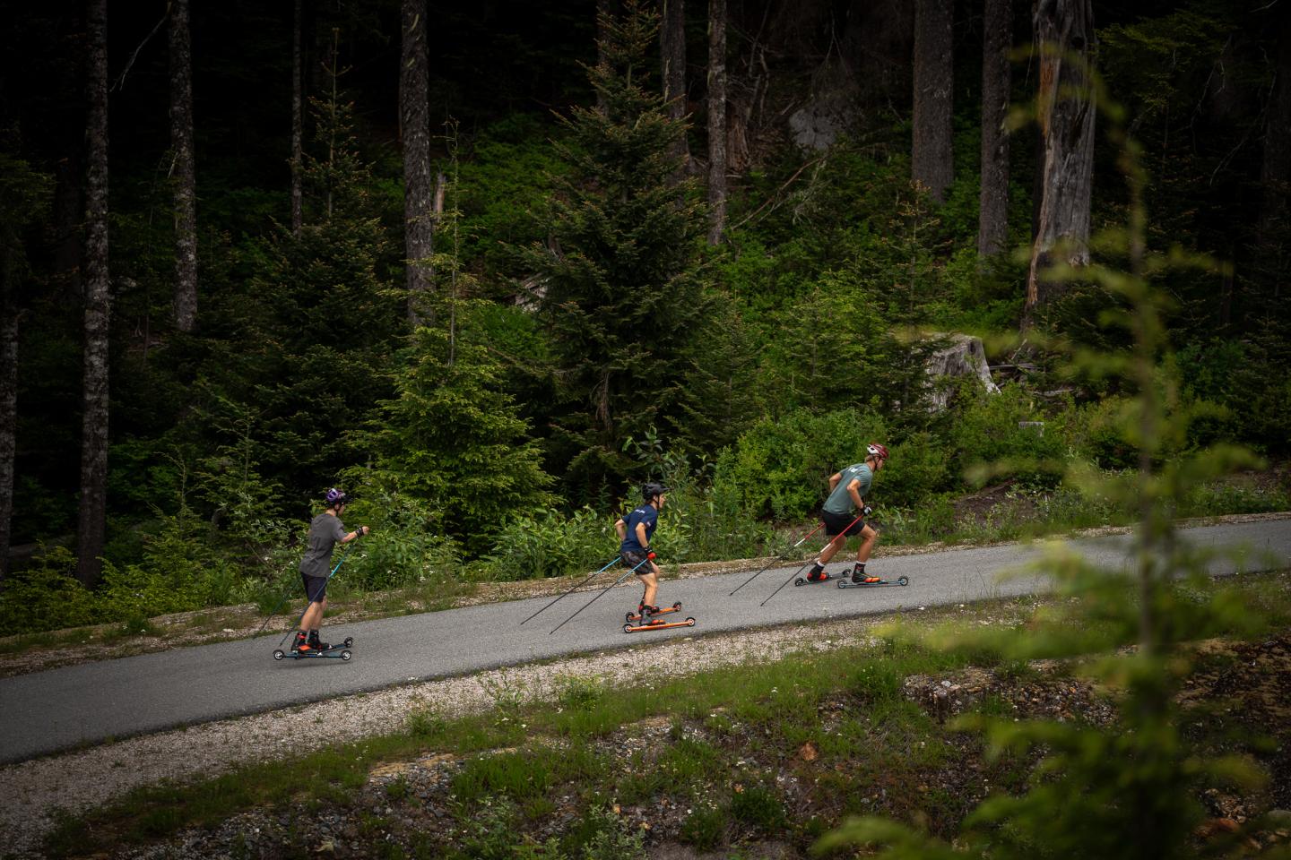 Three people roller skiing on a forest path.