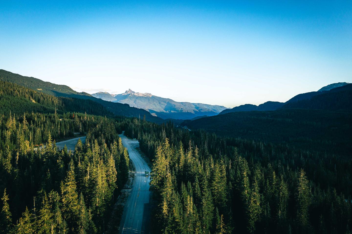 Whistler Olympic park Callaghan valley Mountain road surrounded by dense forest under a clear blue sky.