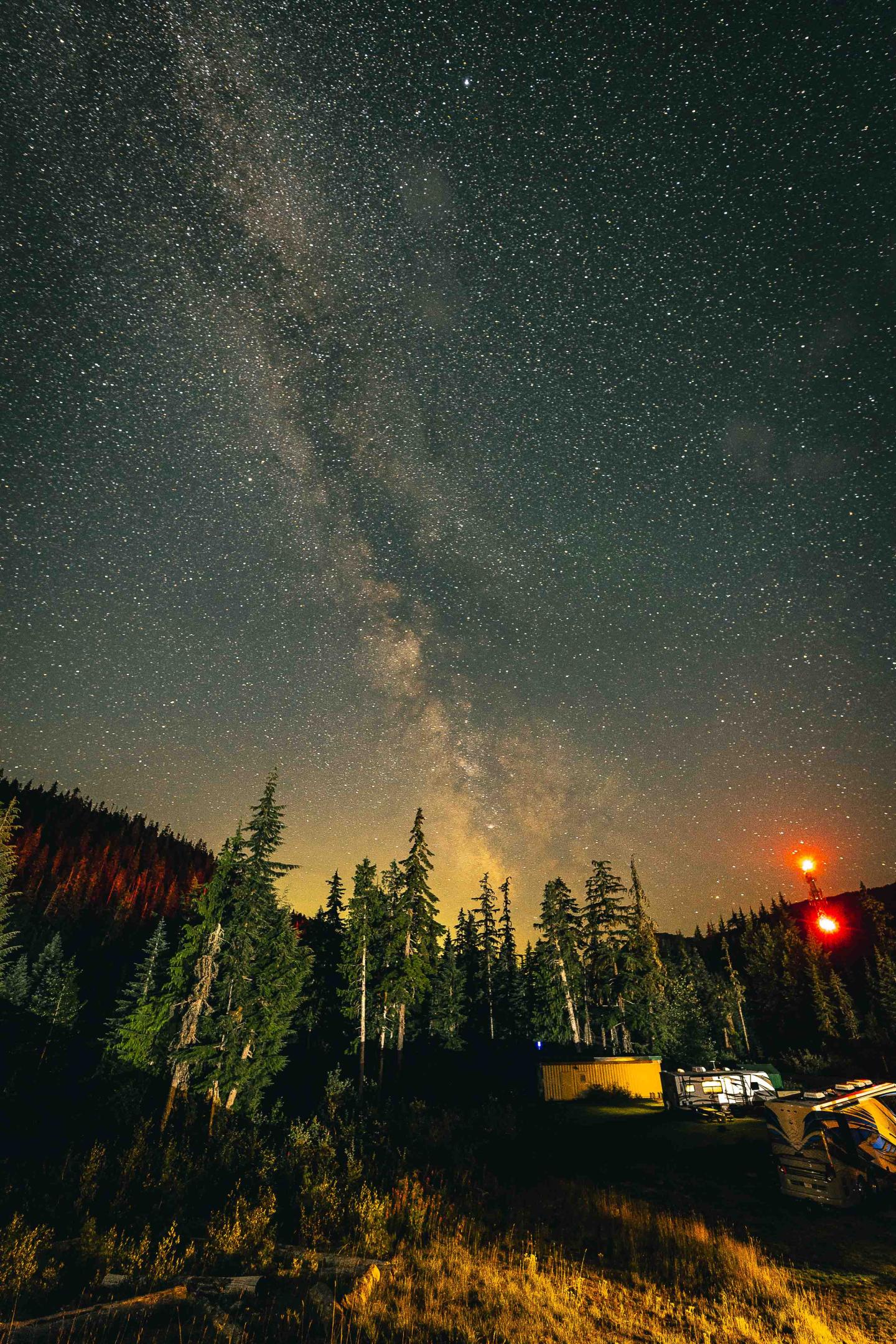 Starry night sky over pine forest, Milky Way visible.
