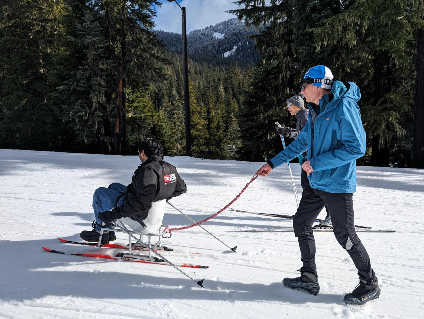 Two people skiing, one pushing a sit-ski, surrounded by snowy trees.