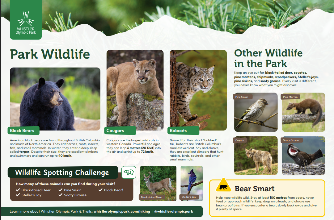 Photographic collage of various park wildlife, including a bear, cougar, and lynx.