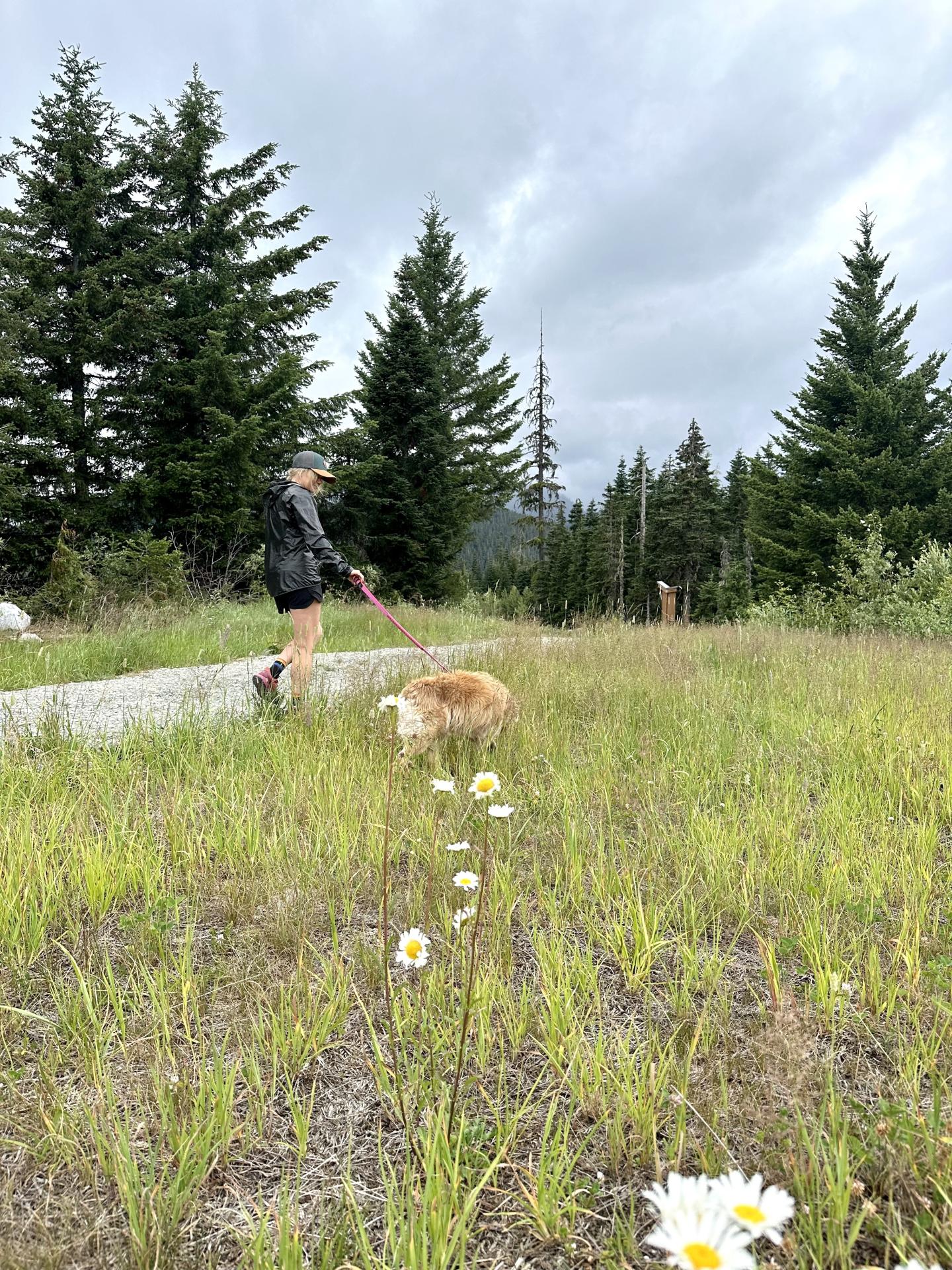 Person walking a dog on a trail, surrounded by grass and trees.