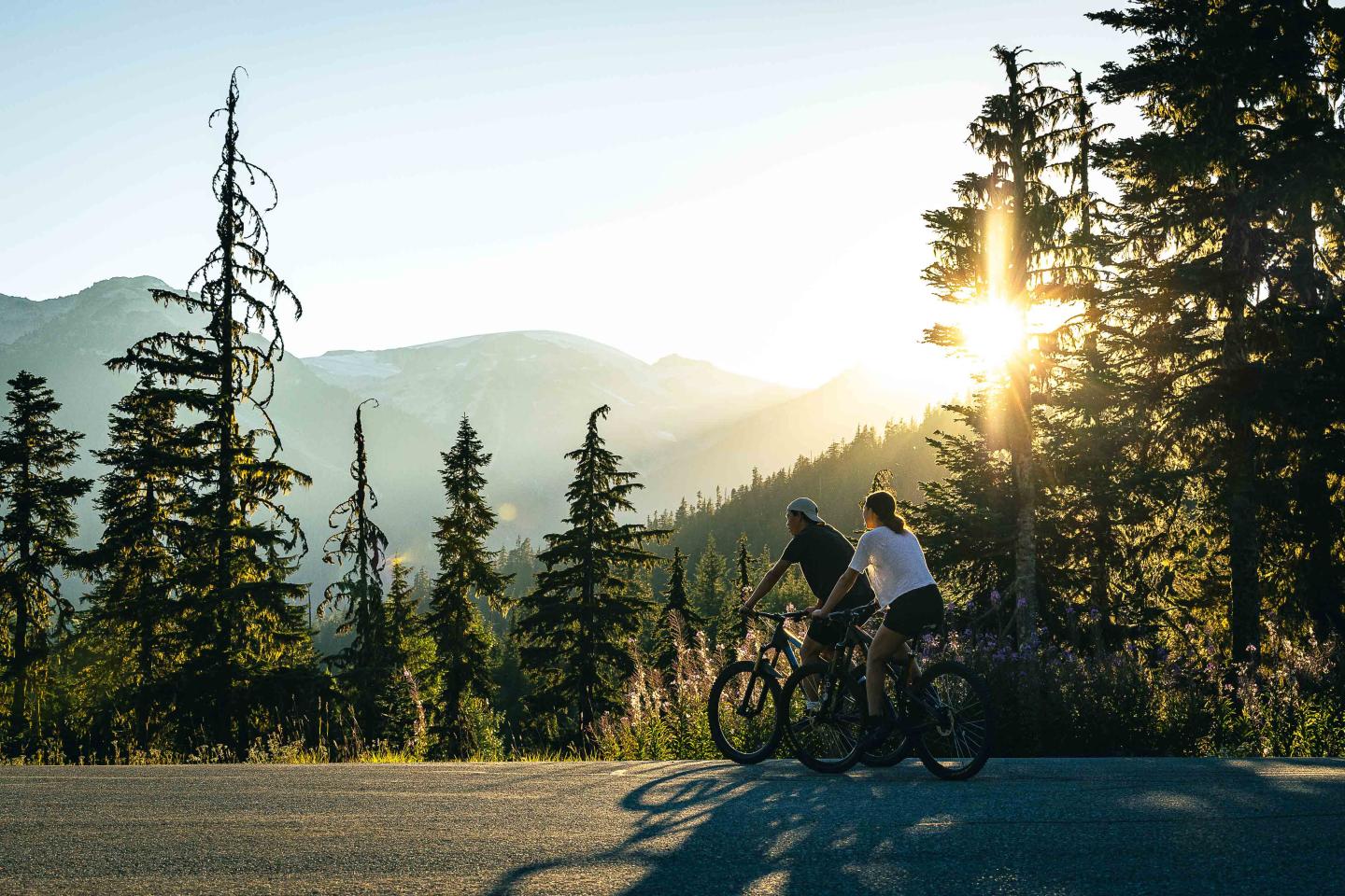 Cyclists enjoy a mountain view at sunset through tall trees.