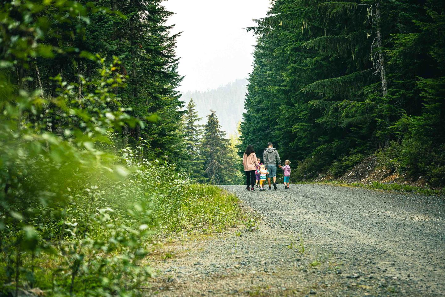 Whistler Olympic Park Family walking on a forest trail, surrounded by tall trees.