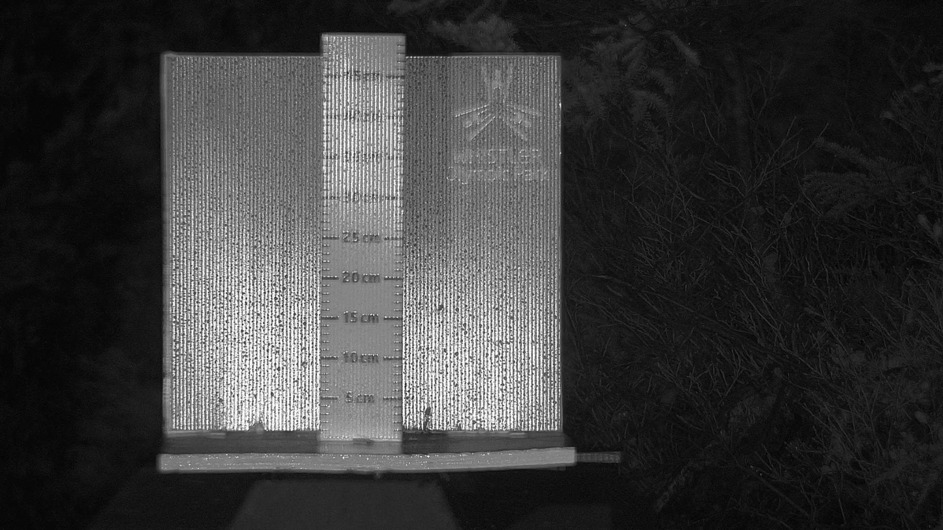 Snow stake cleared between 8:30 and 9am every morning