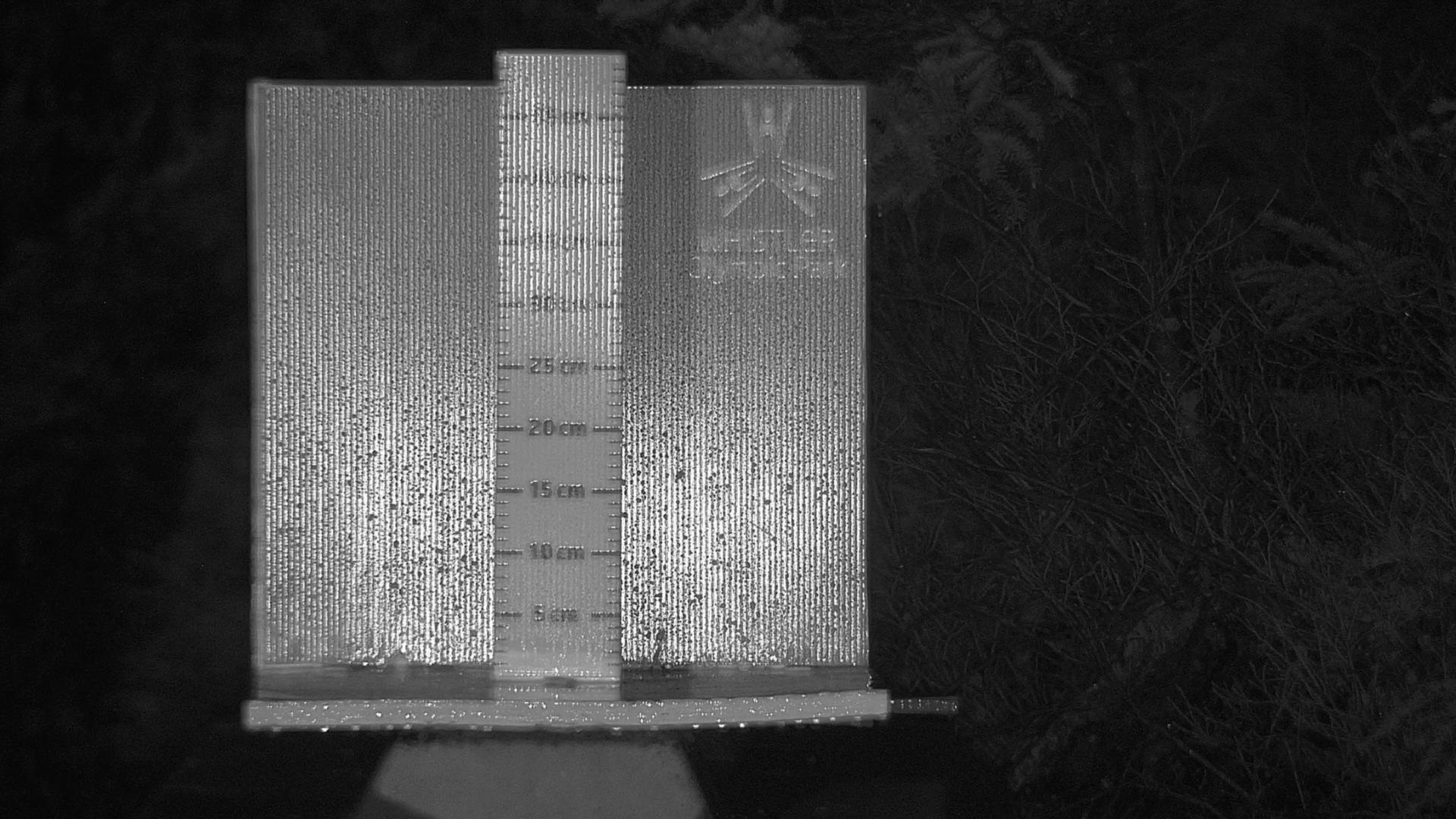 Snow stake cleared between 8:30 and 9am every morning