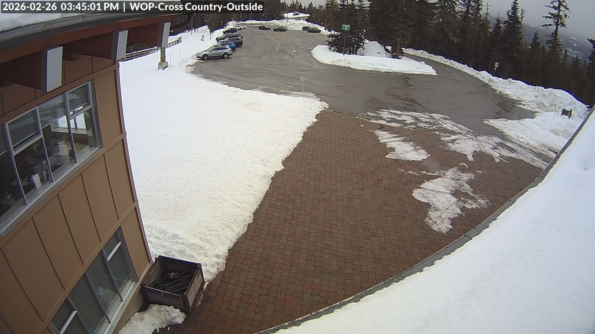 View looking South from Cross Country towards the Daylodge