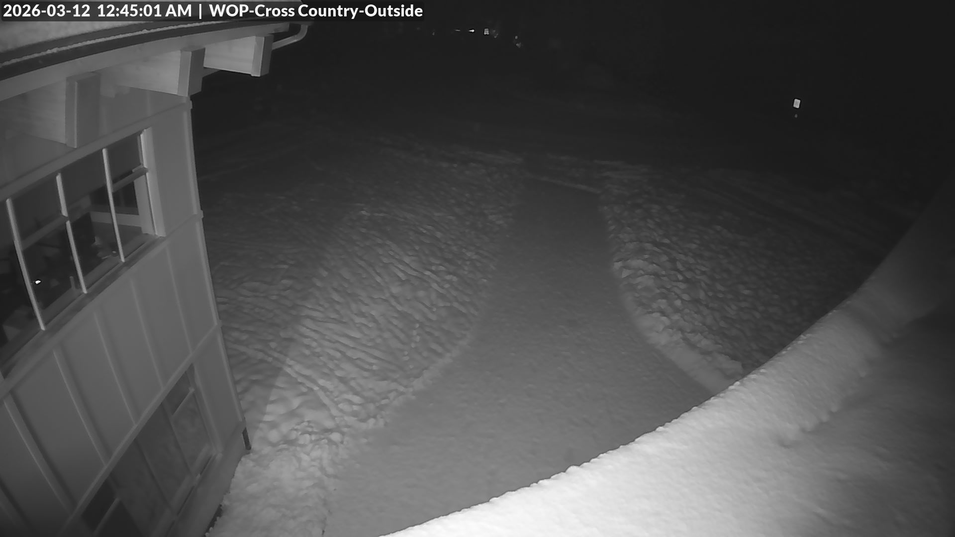 View looking South from Cross Country towards the Daylodge