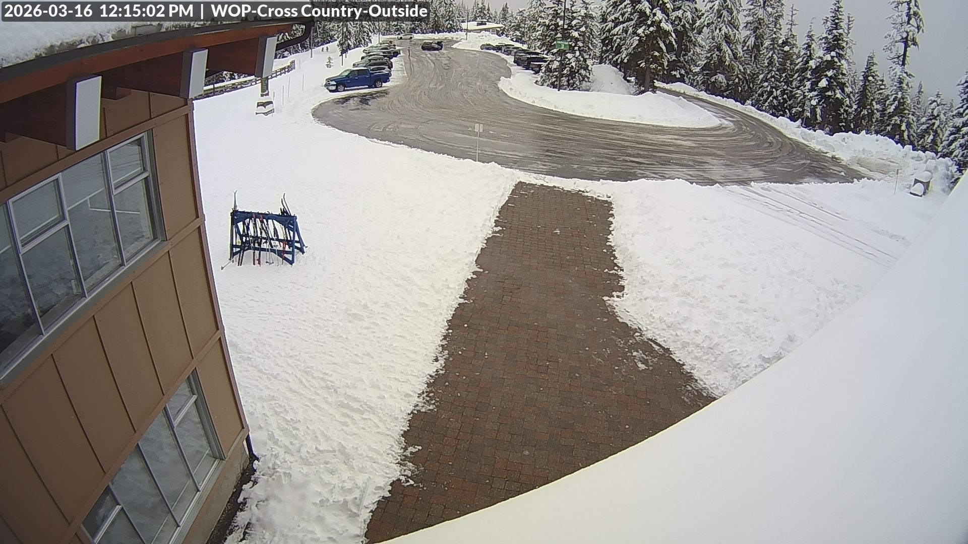 View looking South from Cross Country towards the Daylodge
