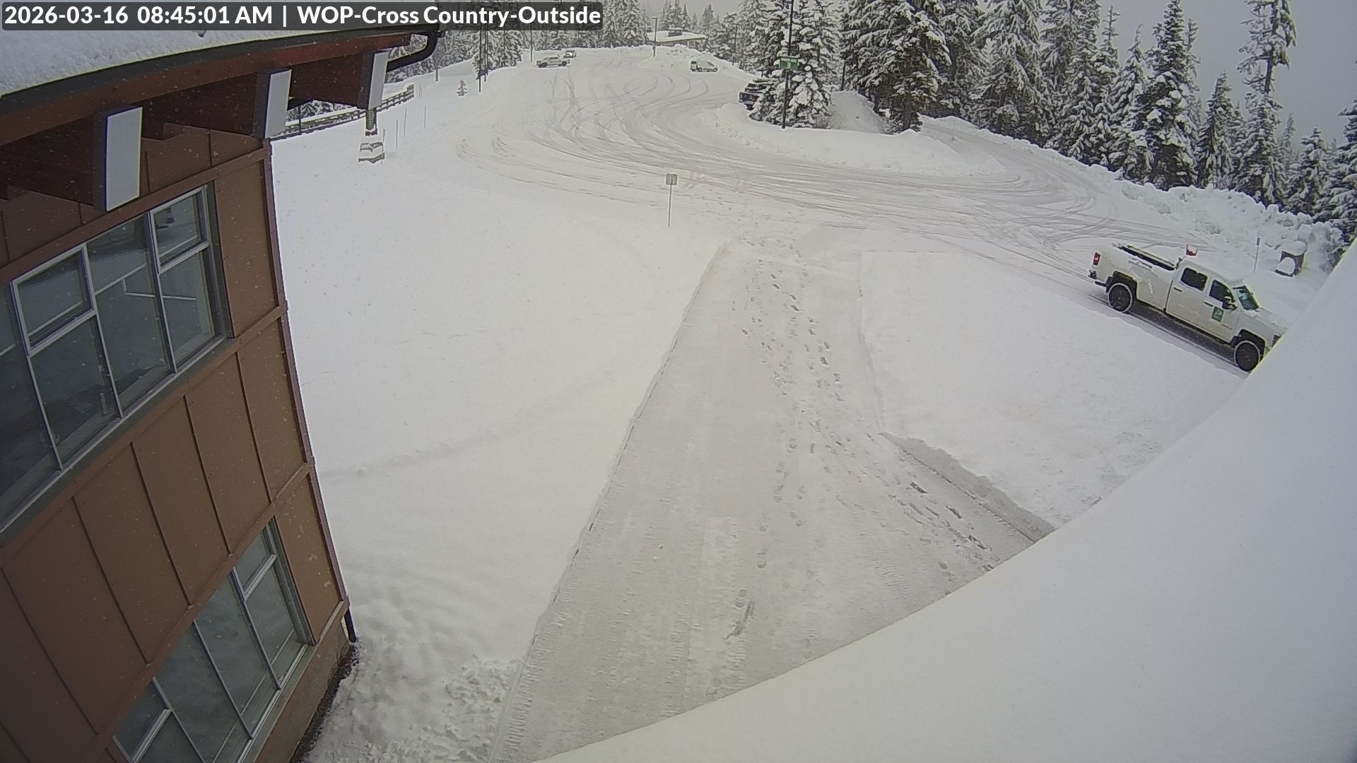 View looking South from Cross Country towards the Daylodge
