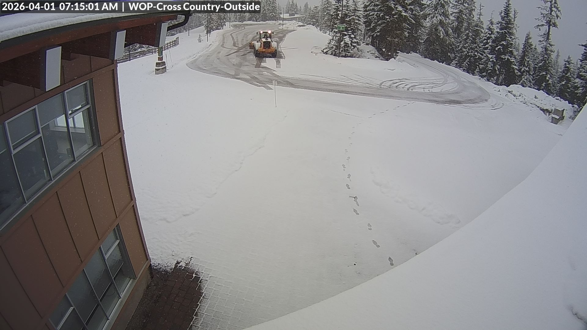 View looking South from Cross Country towards the Daylodge