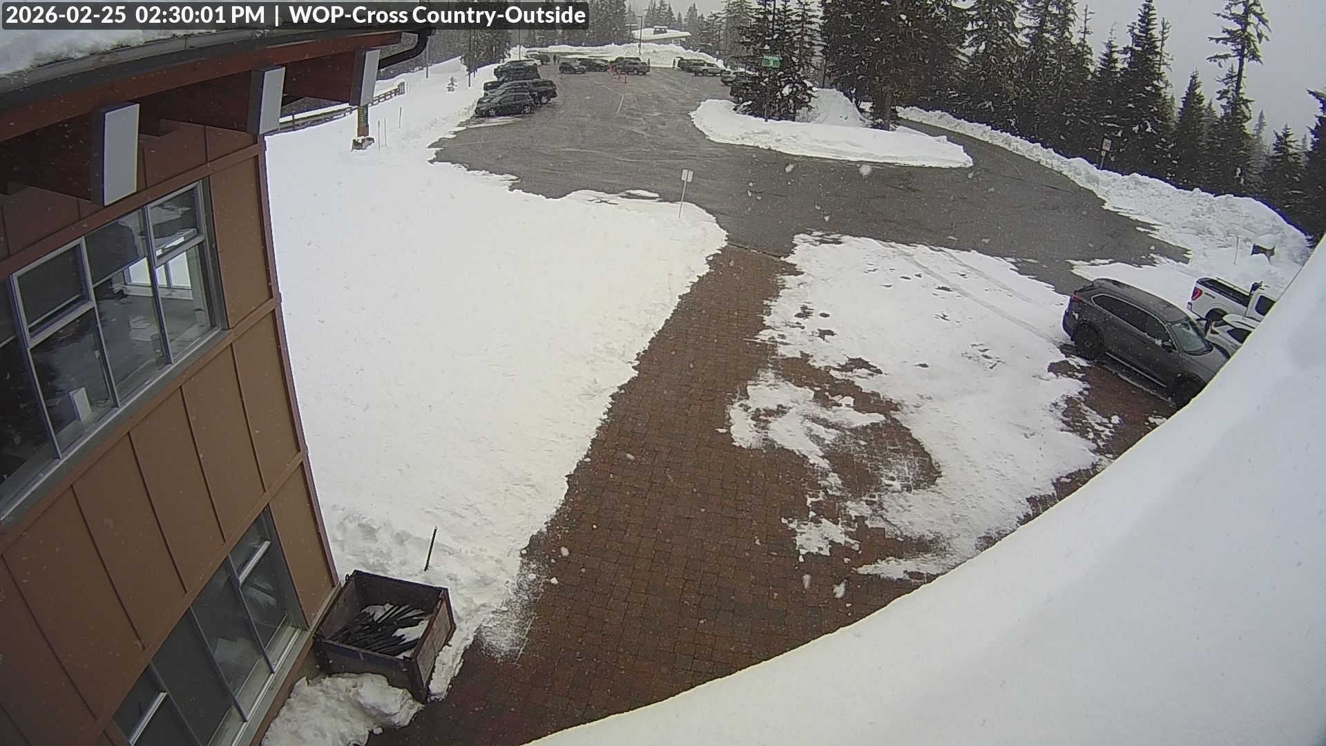 View looking South from Cross Country towards the Daylodge