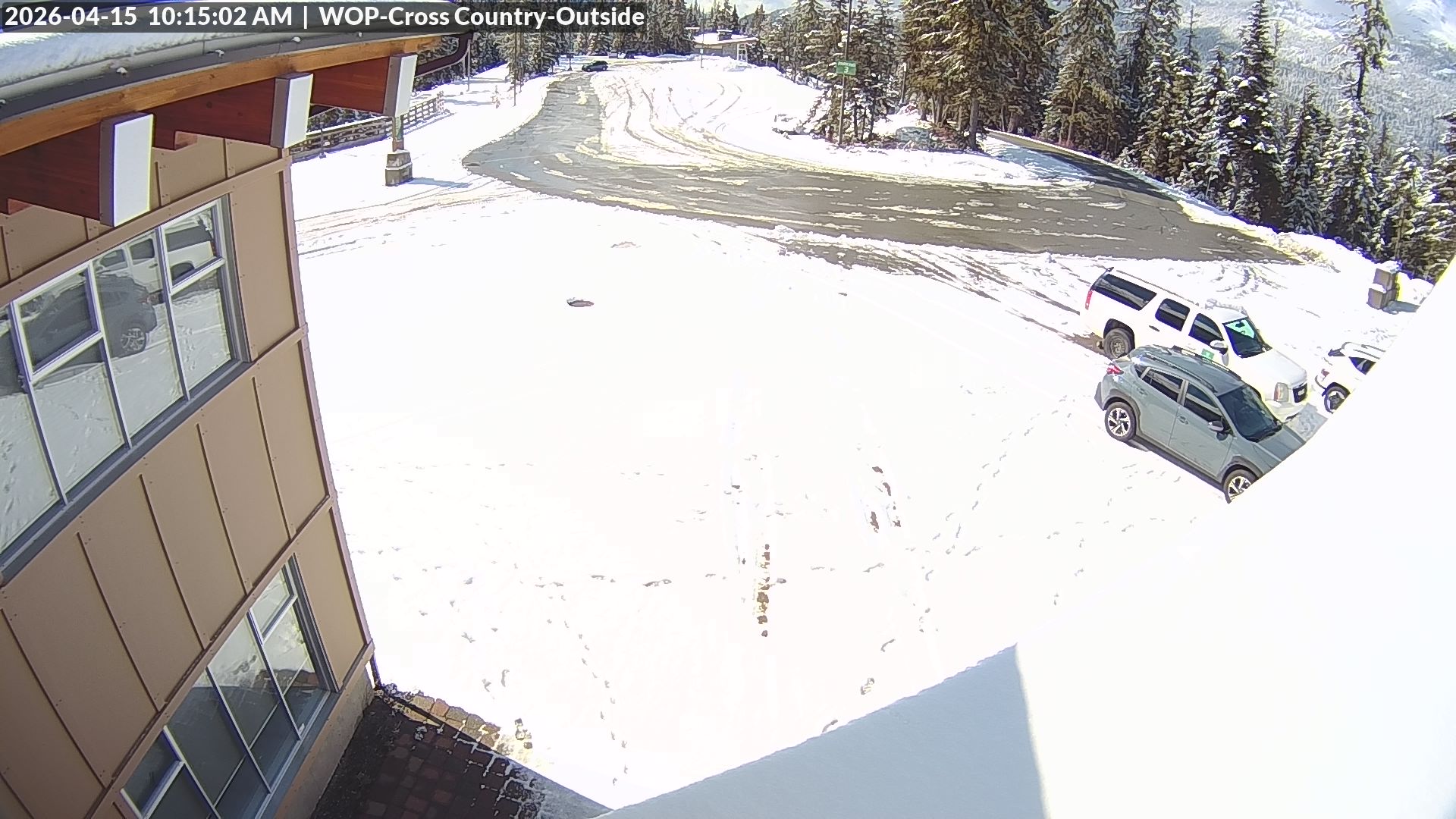 View looking South from Cross Country towards the Daylodge