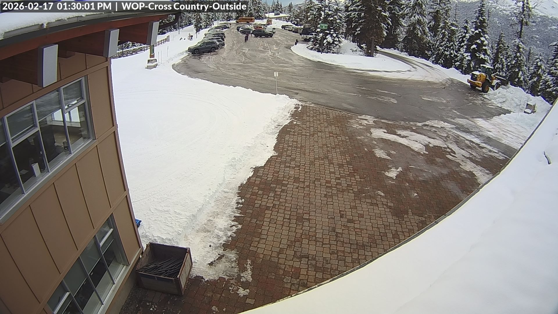 View looking South from Cross Country towards the Daylodge