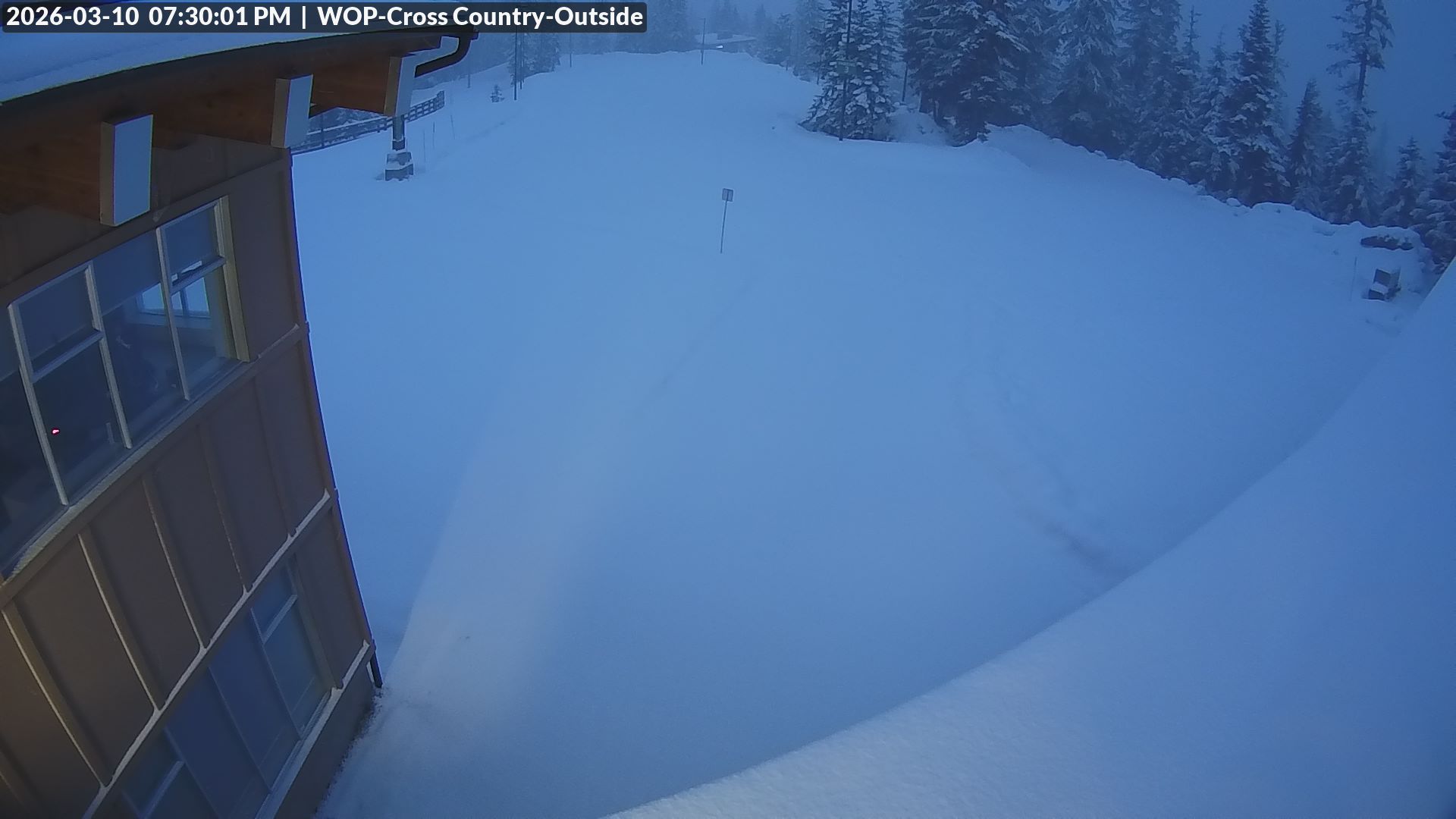 View looking South from Cross Country towards the Daylodge