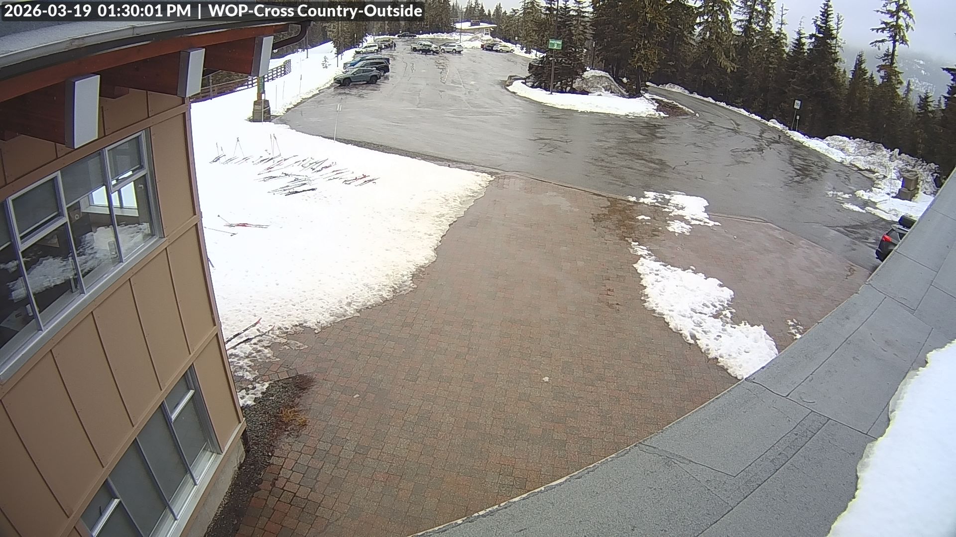 View looking South from Cross Country towards the Daylodge