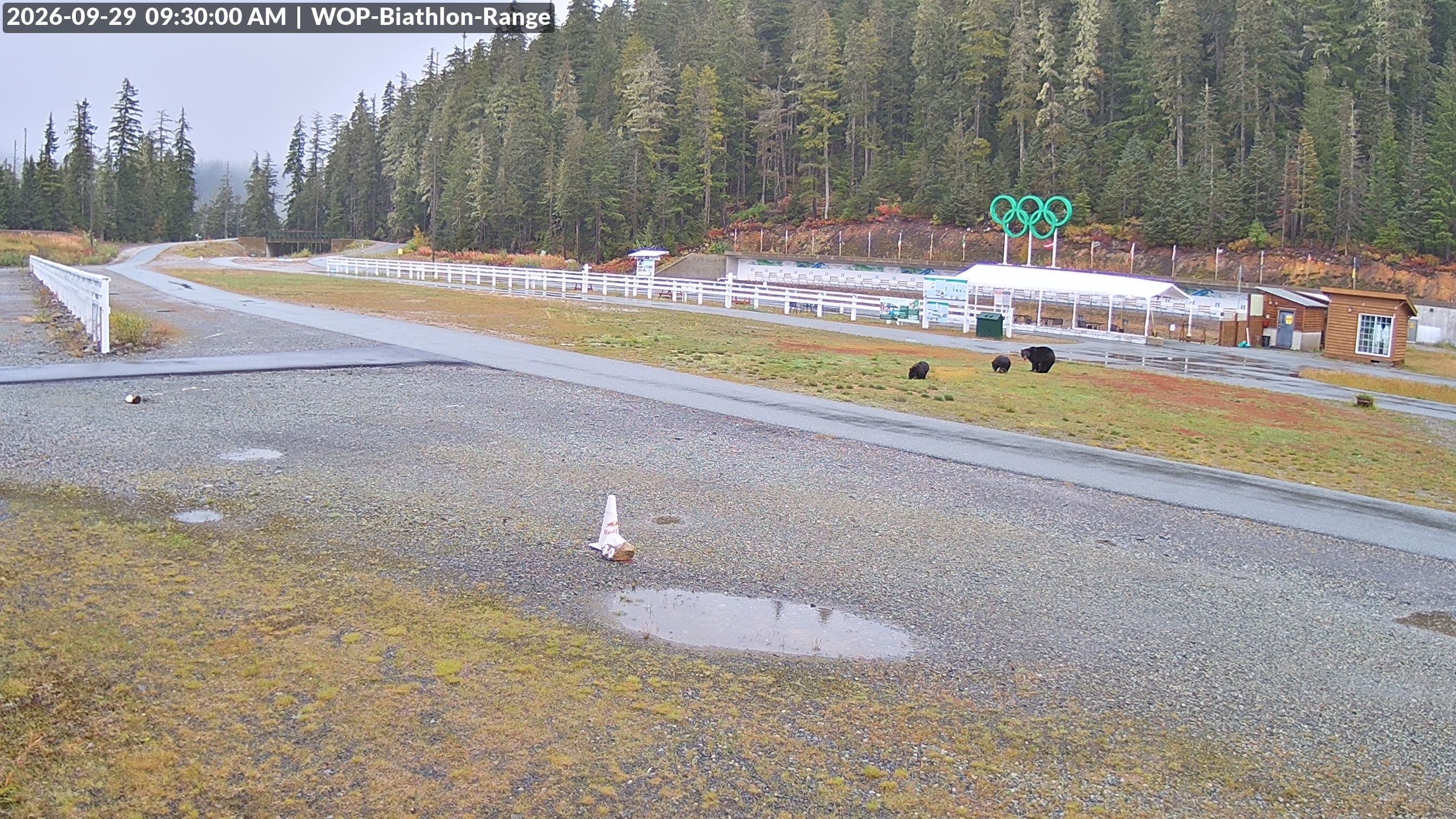 View looking North East to the Olympic Biathlon Range