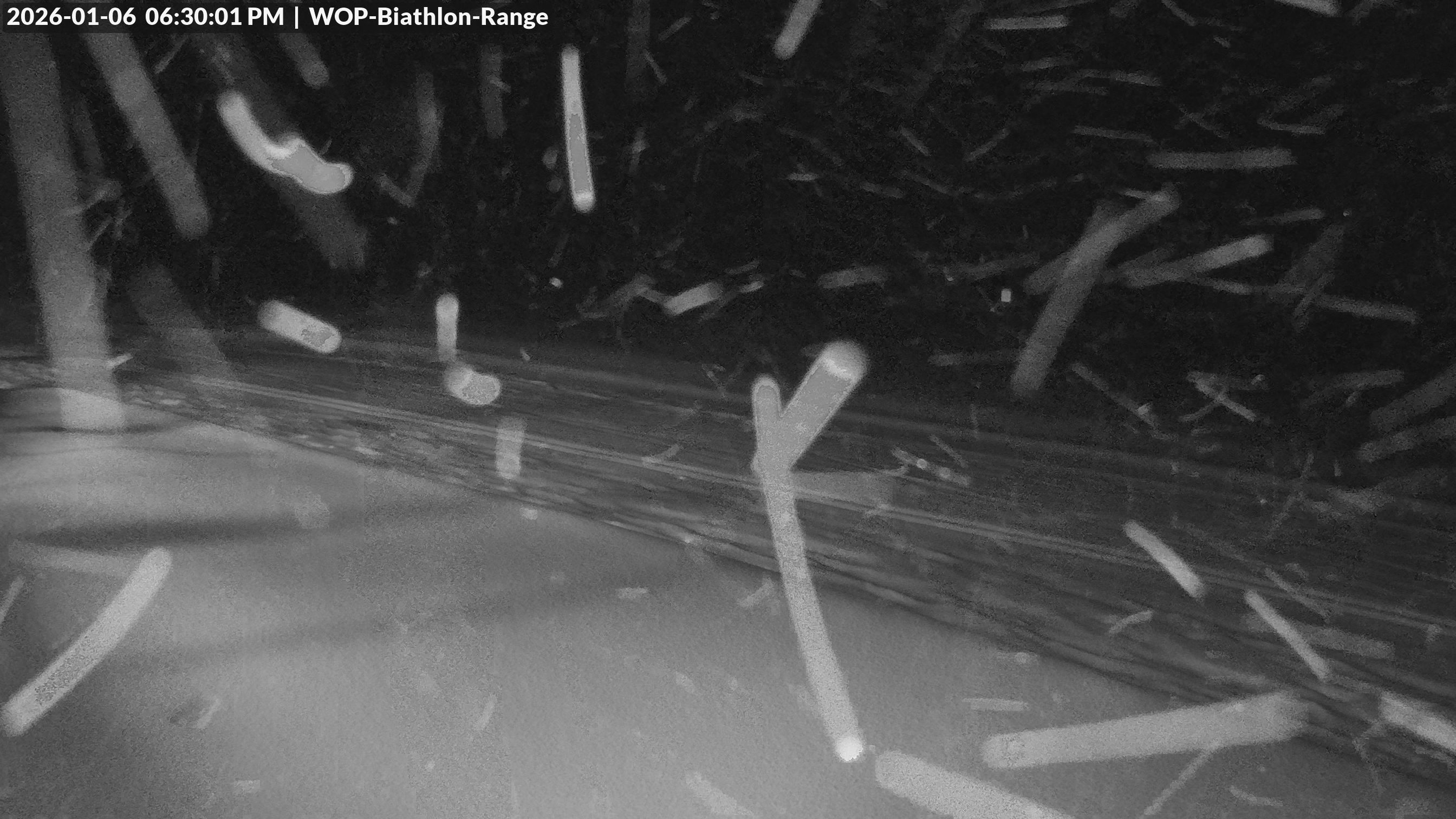 View looking North East to the Olympic Biathlon Range