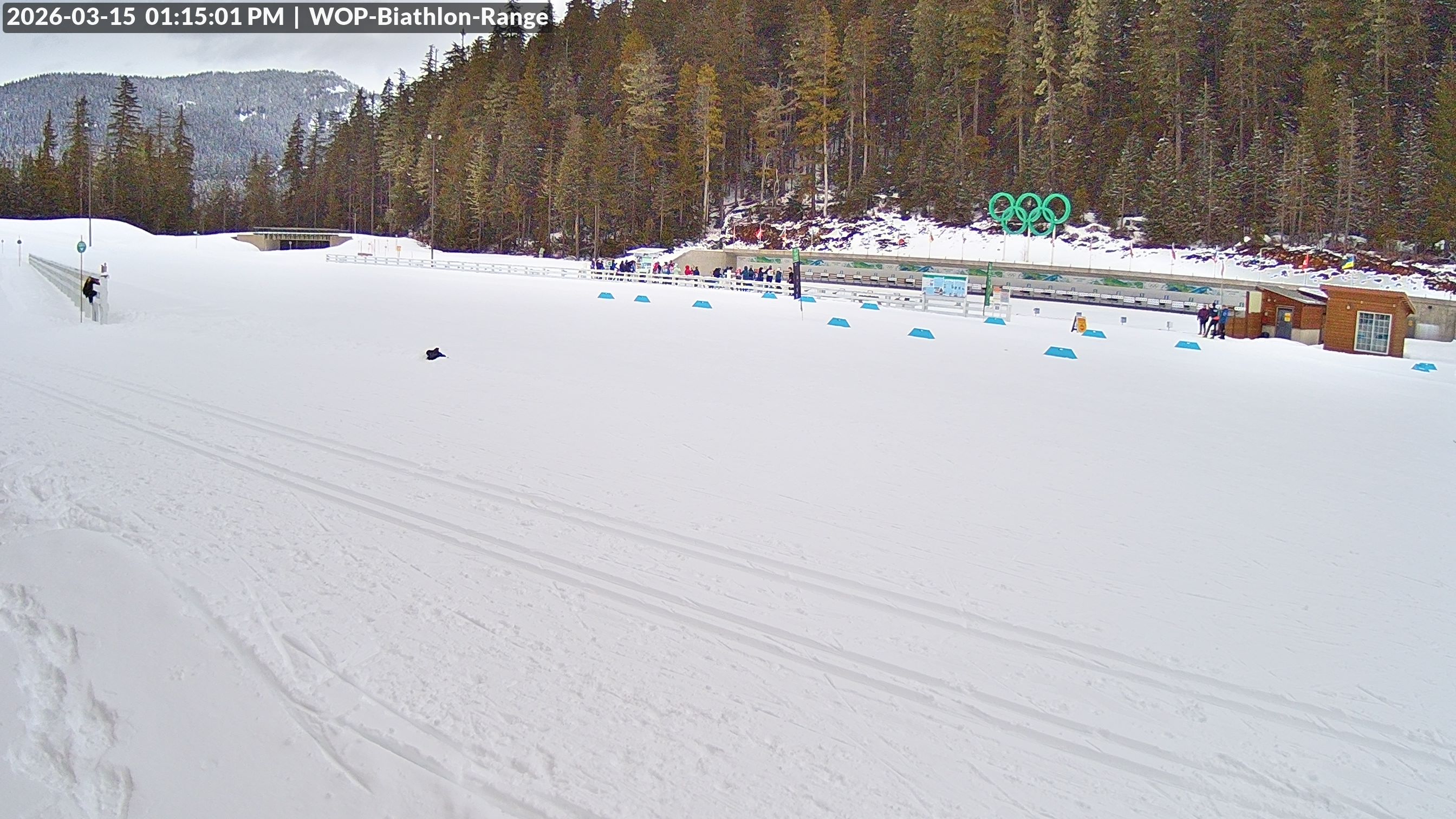 View looking North East to the Olympic Biathlon Range