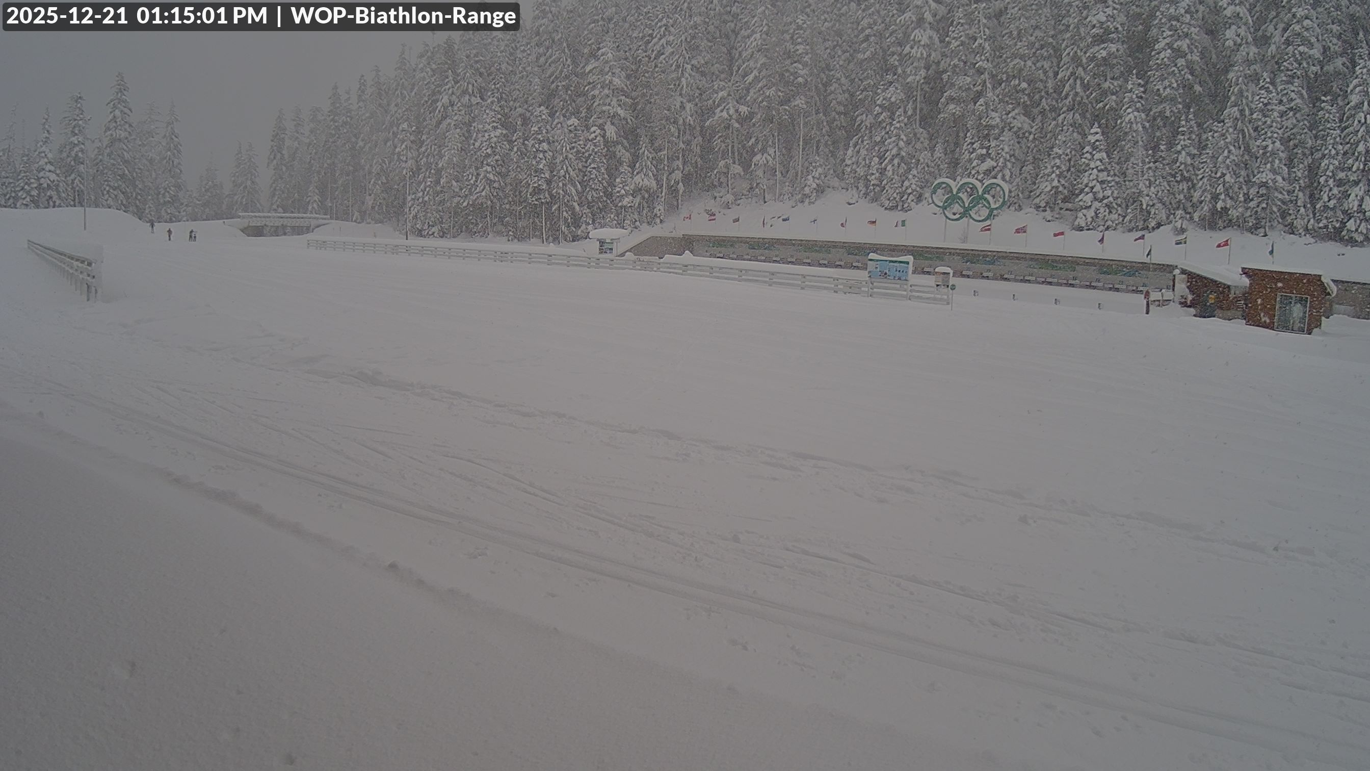 View looking North East to the Olympic Biathlon Range